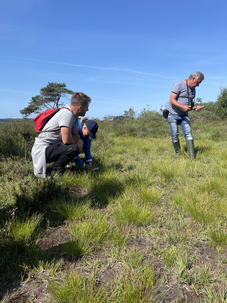 Observation de la flore avec un guide de Bretagne Vivante