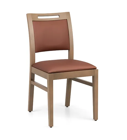 Katia CO.5273, vue 4