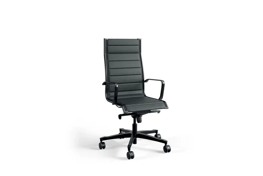Fauteuil Elite