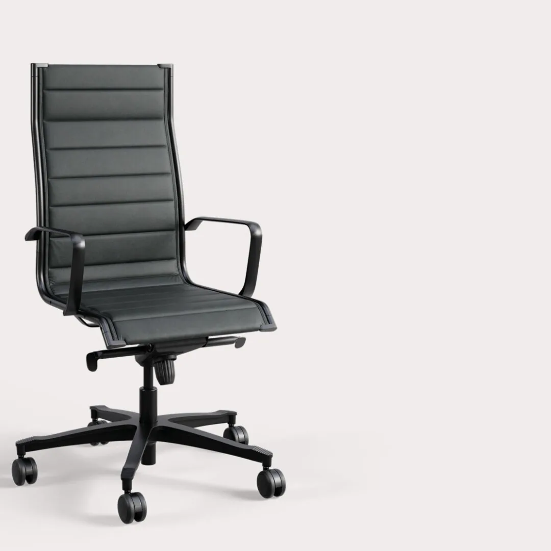 Fauteuil Elite, vue 4