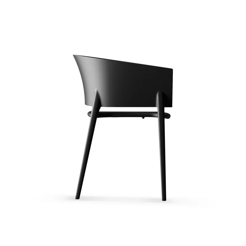 Fauteuil Africa
