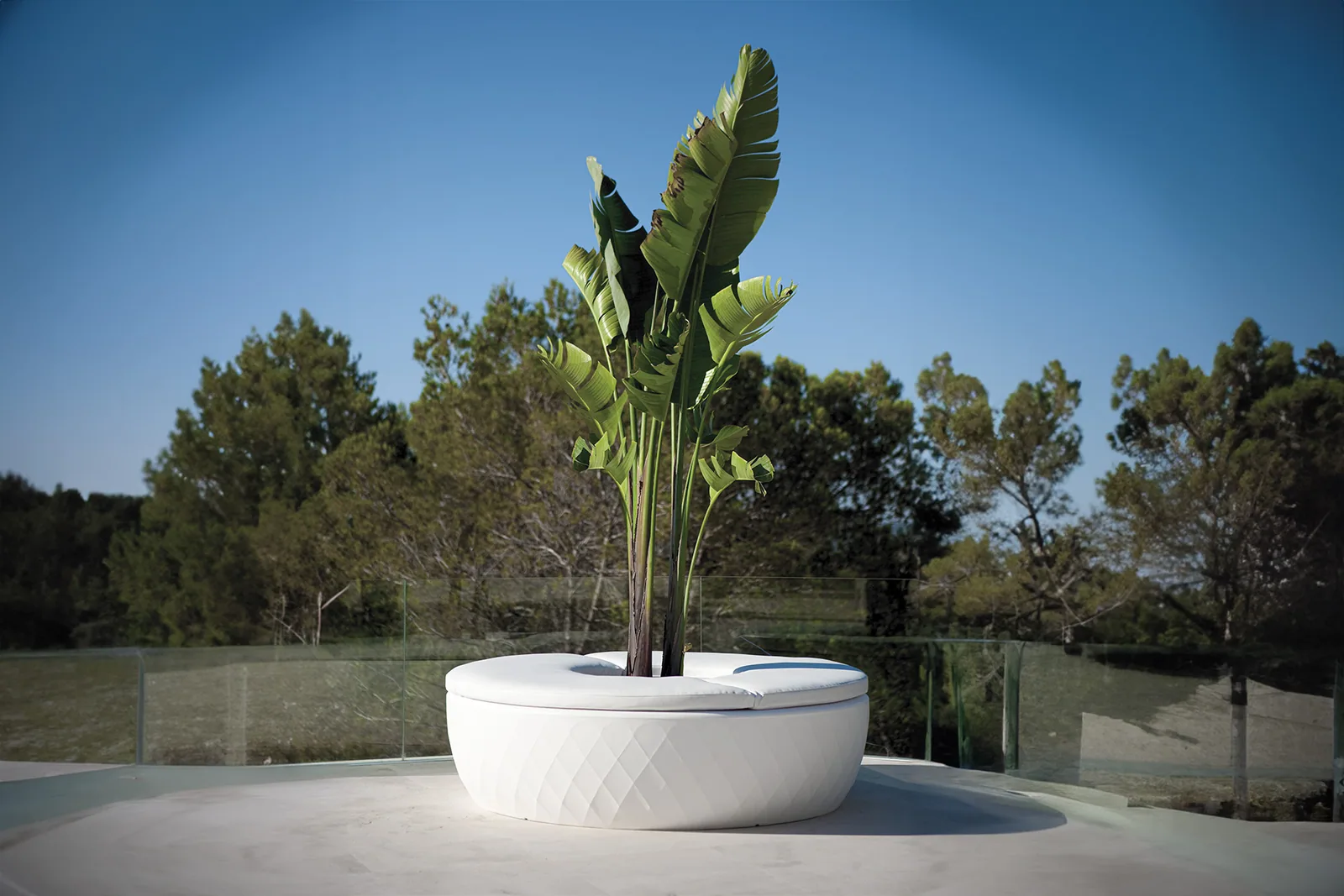 Vases island, vue 4